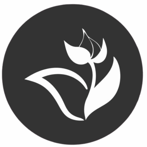 Cropped istockphoto 1353794185 1024x1024 removebg preview.png