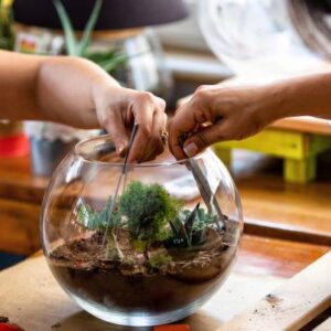 Terrarium workshop atelier