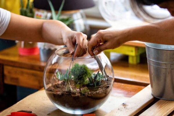 Terrarium workshop atelier