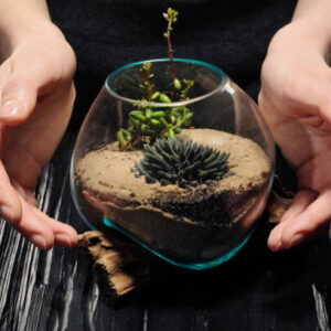 Istockphoto 1139922317 612x612