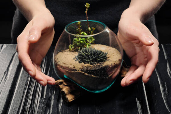 Istockphoto 1139922317 612x612