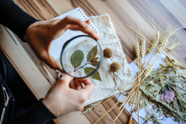 Istockphoto 1300693832 612x612