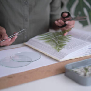 Istockphoto 1368167611 612x612