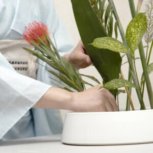 Istockphoto 1478692270 612x612