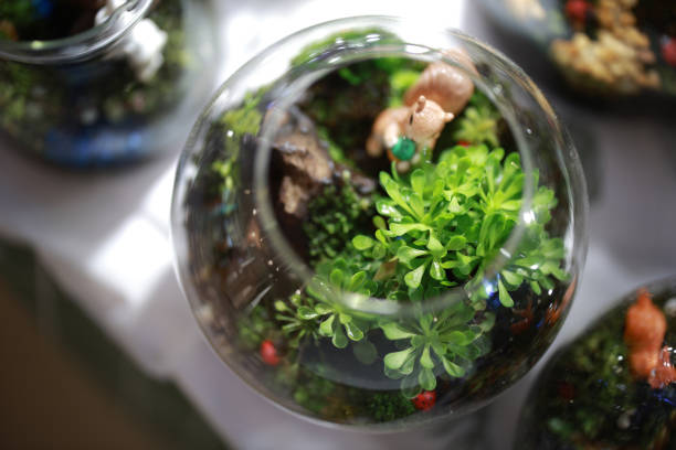 Istockphoto 2120058410 612x612