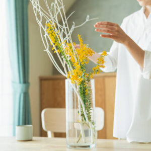 Women watering houseplants before work.
