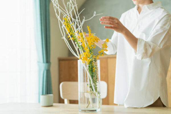 Women watering houseplants before work.
