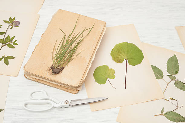 Istockphoto 625194296 612x612