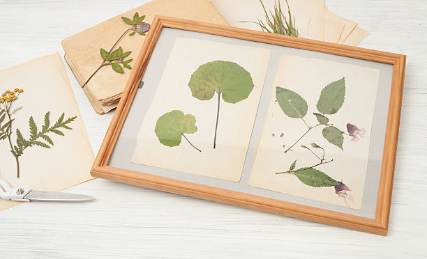 Istockphoto 625194680 612x612